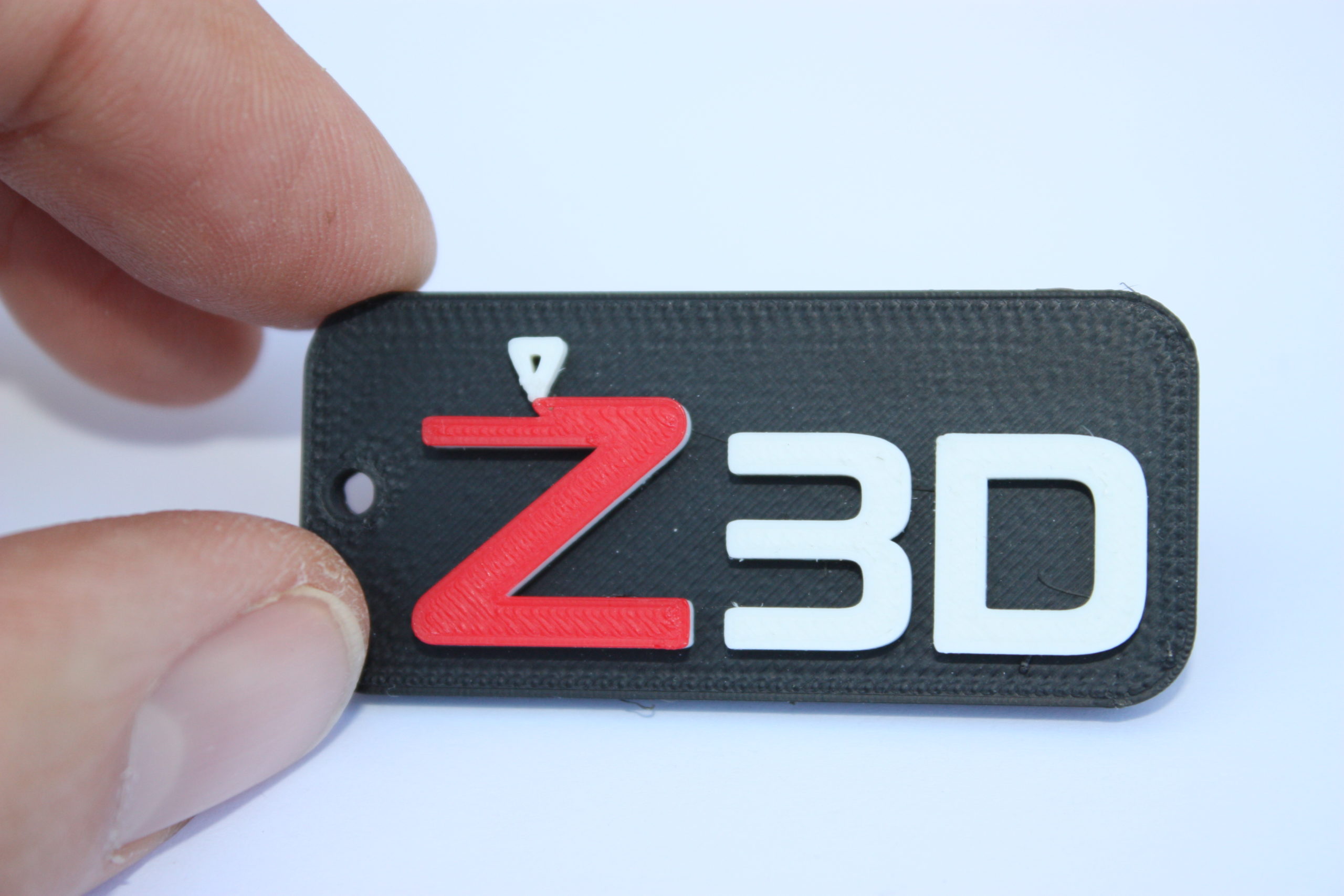 Logo Portachiavi Z3D
