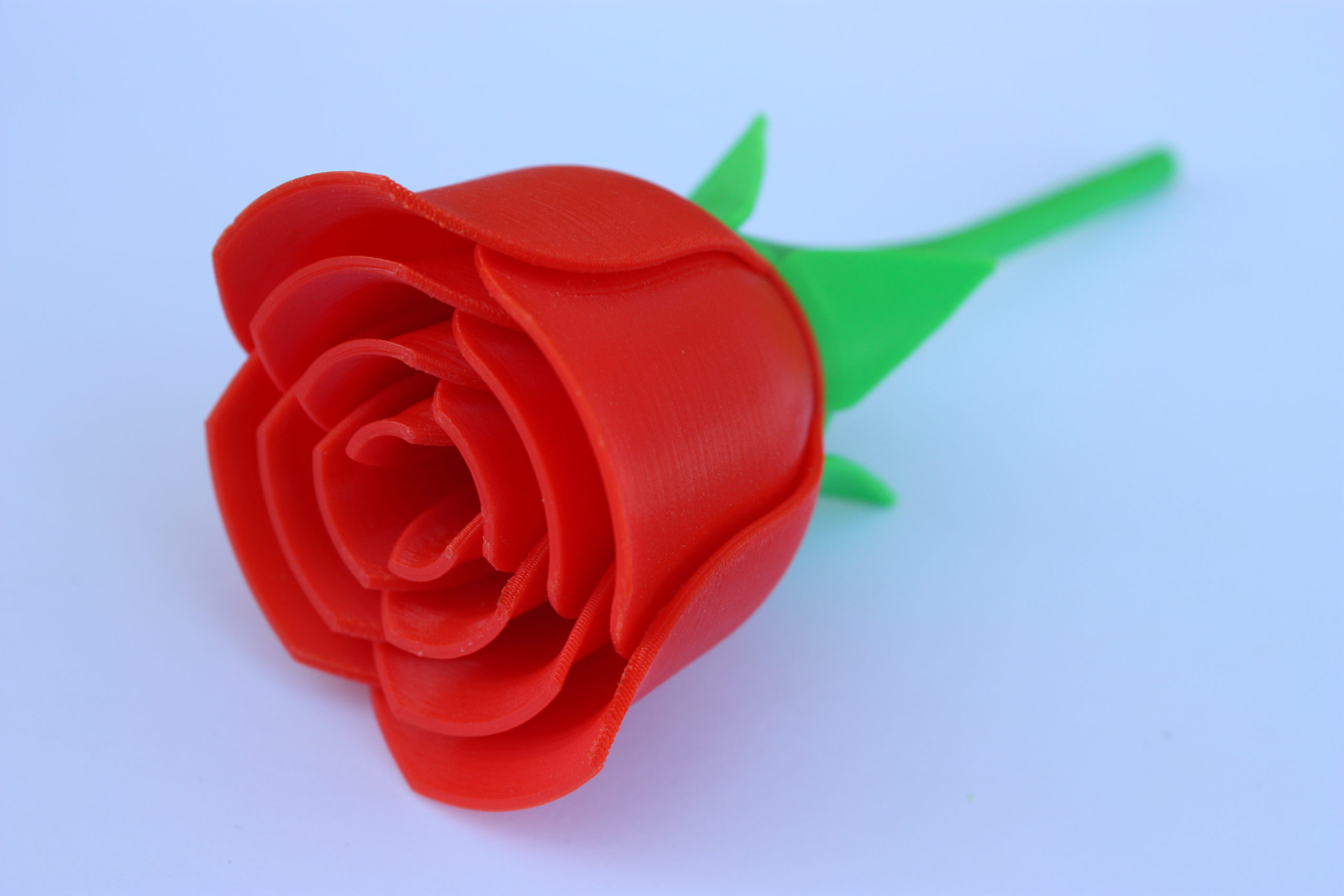 Rosa Stampa 3D 1